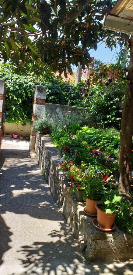 Casa Vacanze Poison Trieste Bagian luar foto